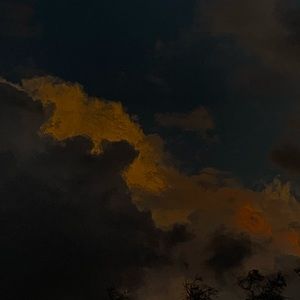 Meet your Posher, Hayley